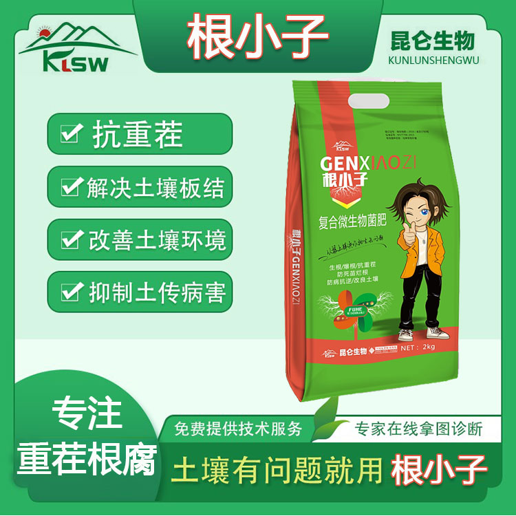 中藥材西洋參肥用什么肥料 根小子生根壯苗葉面肥