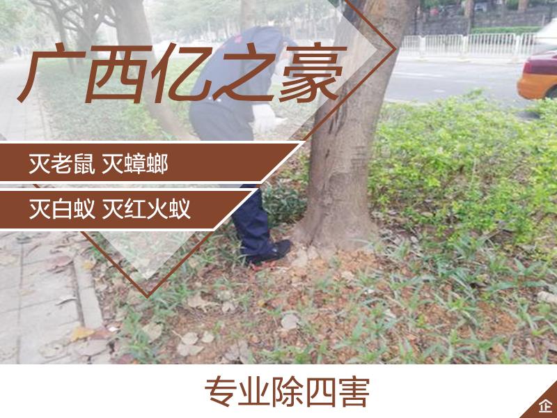 上海餐具清洗消毒服务公司