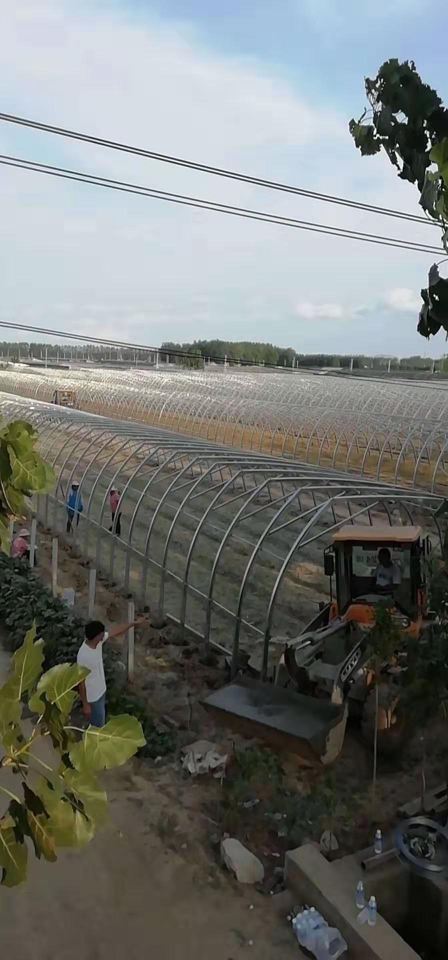 衡水溫室幾字鋼骨架實體生產廠家