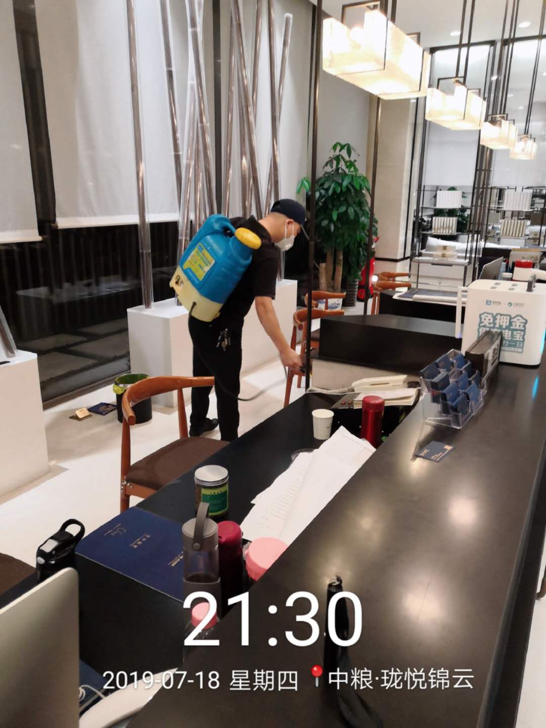 龍泉驛家庭滅老鼠中心 消殺老鼠 行業(yè)經(jīng)驗豐富