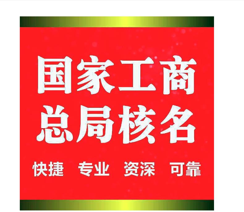 国家监管总局名称申请材料