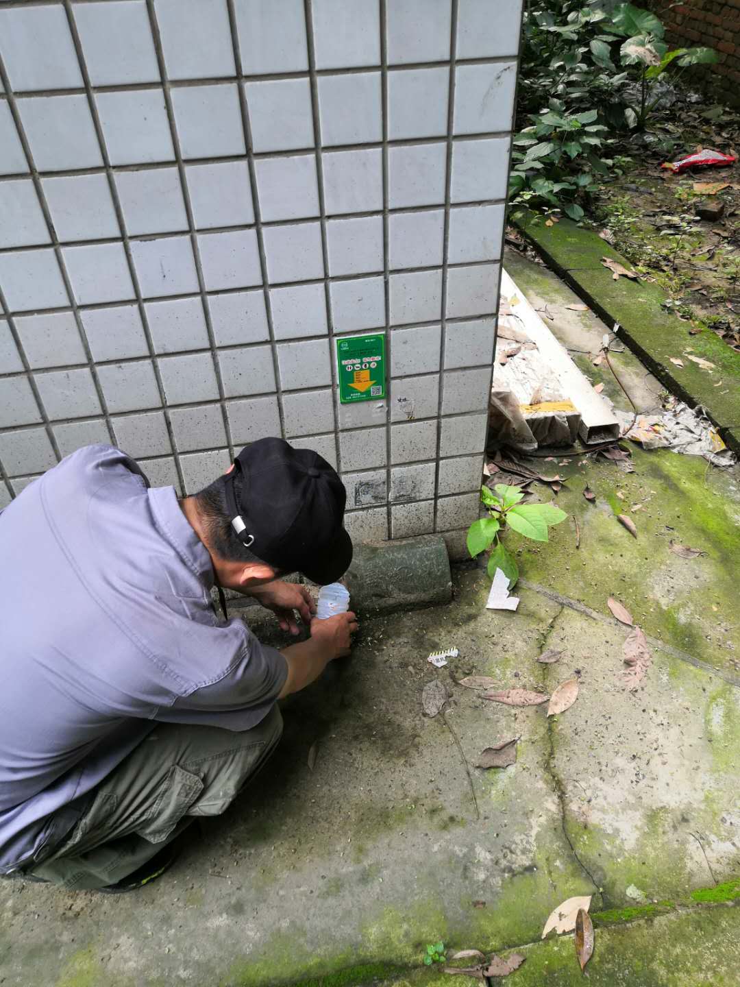 上門殺蟲 彭州殺蟲服務 誠信經營