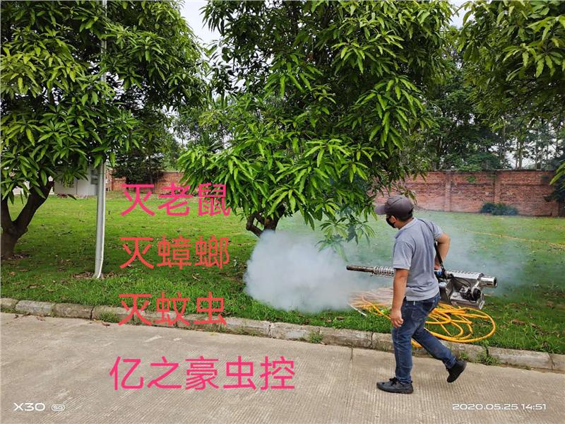 汽车灭老鼠妙招