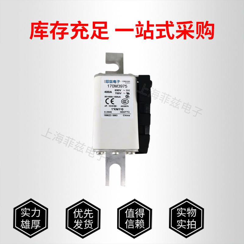 巴斯曼熔斷器170M1361 全新銷售