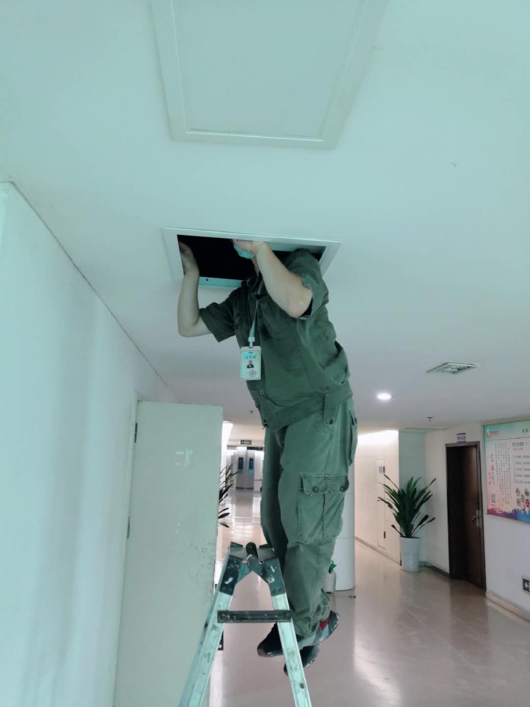 崇州家庭白蟻防治機構 誠信經營