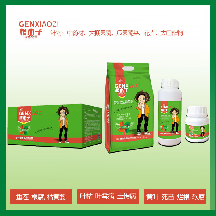 中藥材當歸壯根膨大素 根小子誠信經營