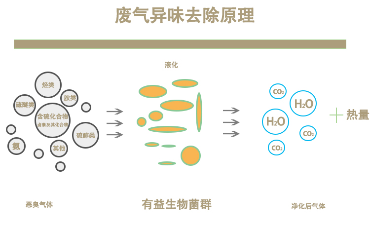 黄石生物除臭剂电话