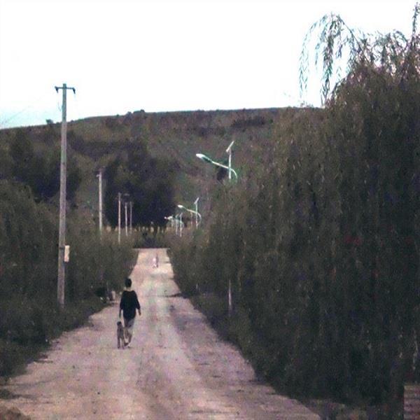 甘肃农村太阳能路灯厂家