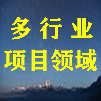 廣東項目可研報告