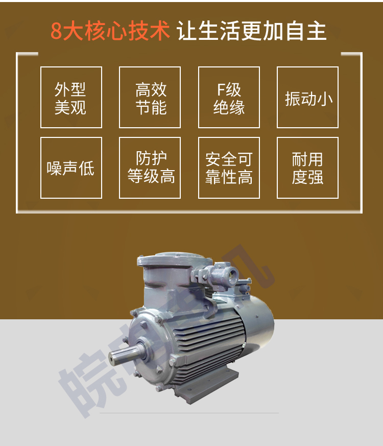 铝壳防爆电机