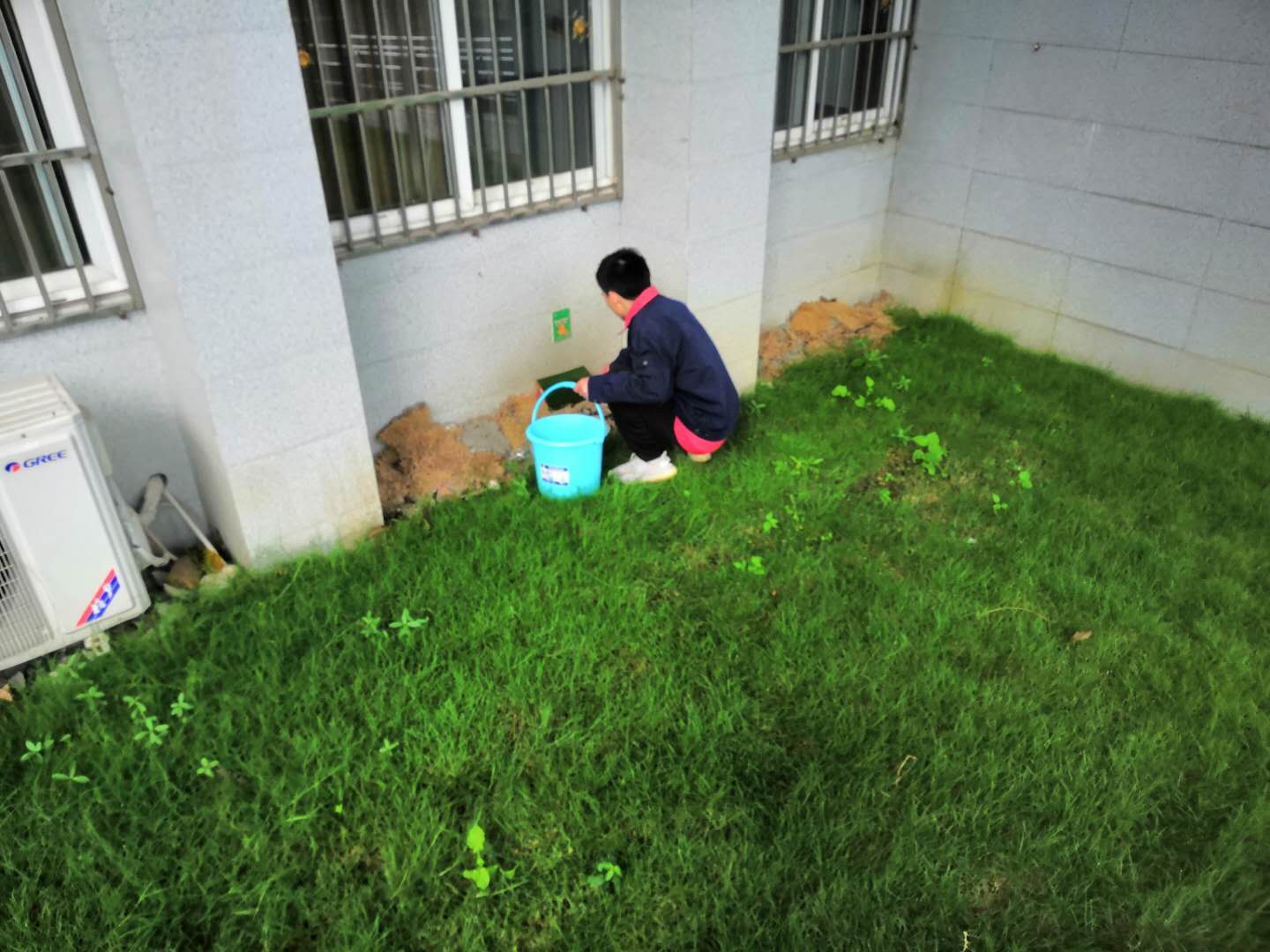 金牛区灭鼠服务 成都仁民有害生物防治服务有限公司