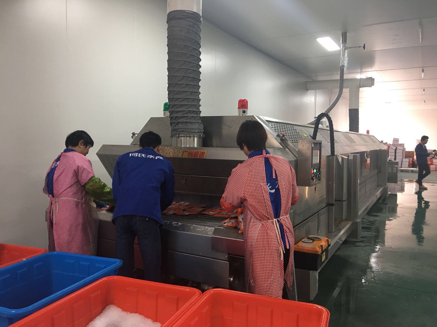 廣西榴蓮冷凍機