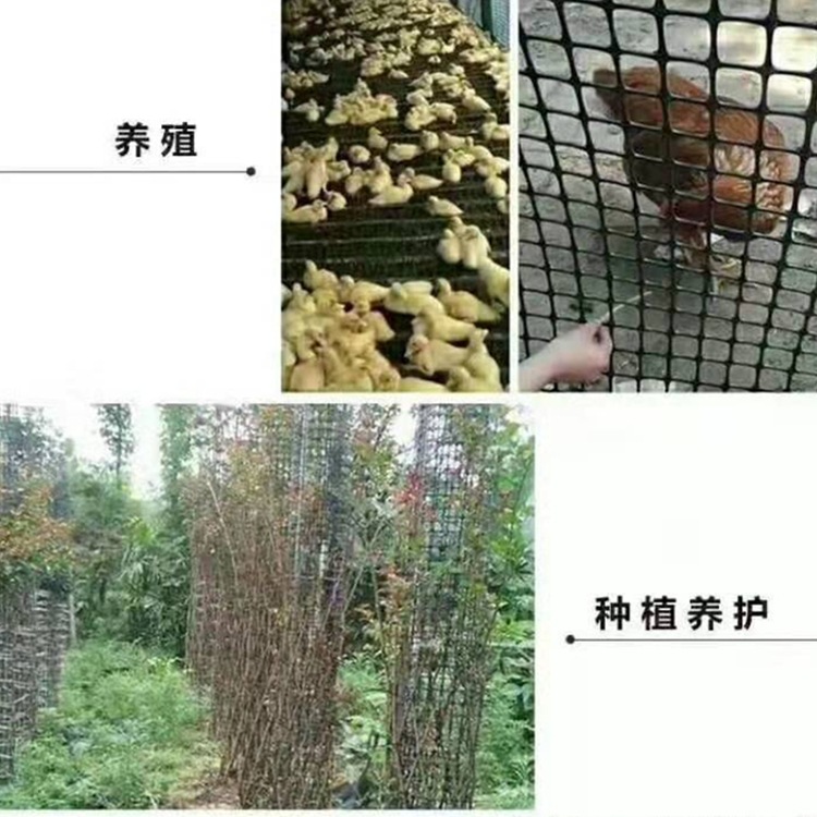 双向土工格栅管廊