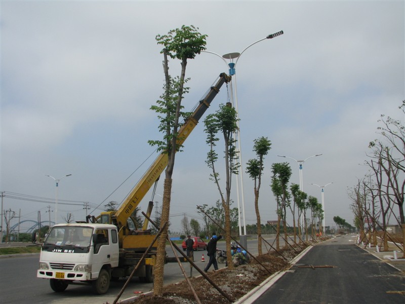 娄底道路照明灯