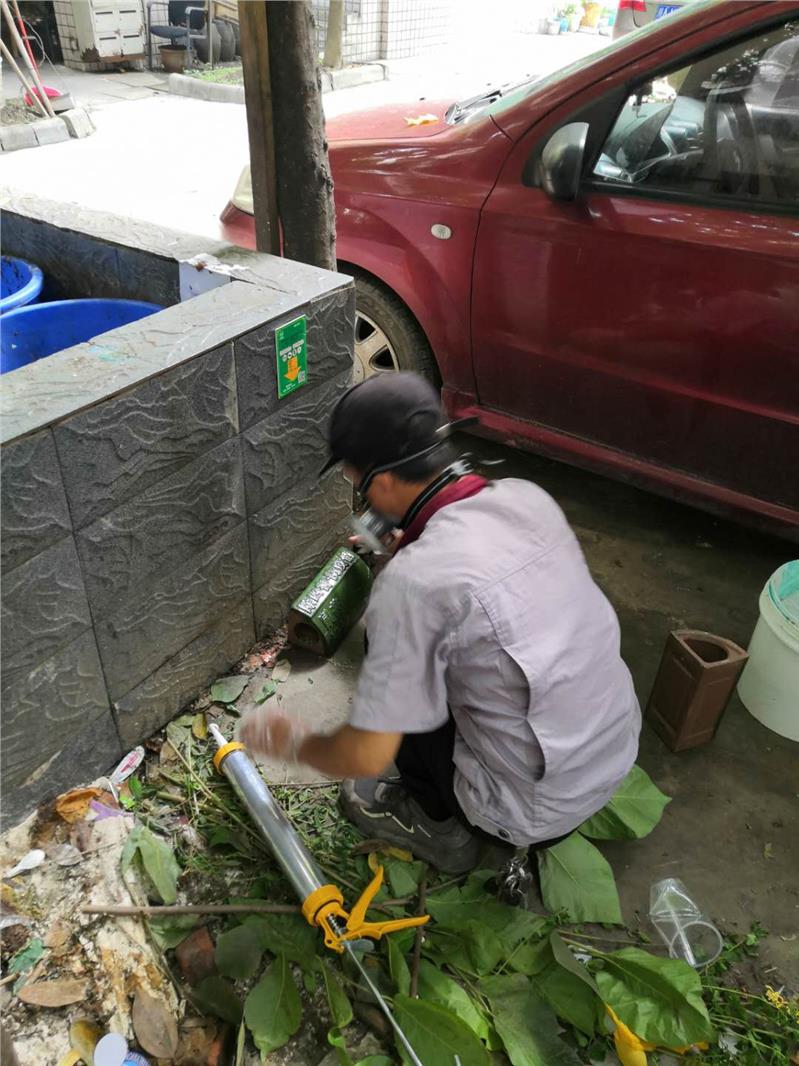 厂汉食堂除老鼠