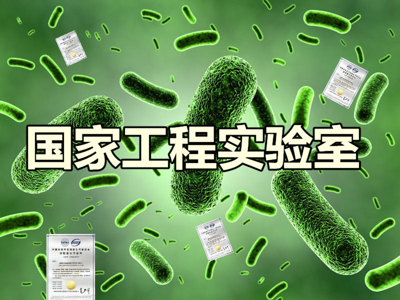 濱州工程實驗室辦理好處