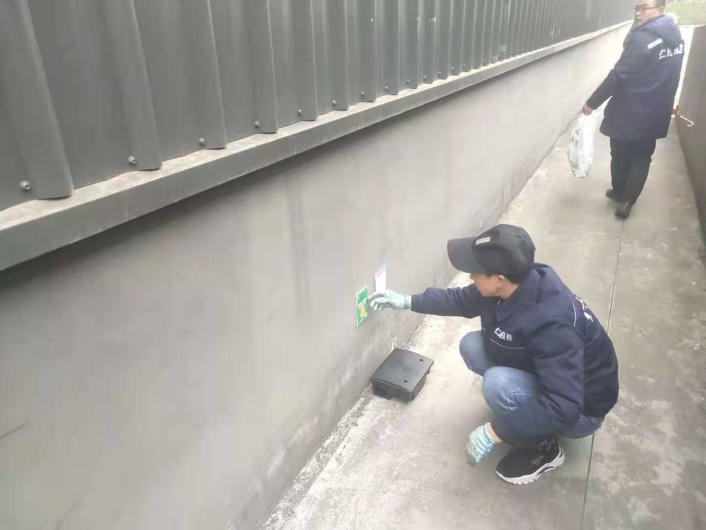 上門滅老鼠-青白江辦公樓滅鼠方案-團隊人員經驗豐富