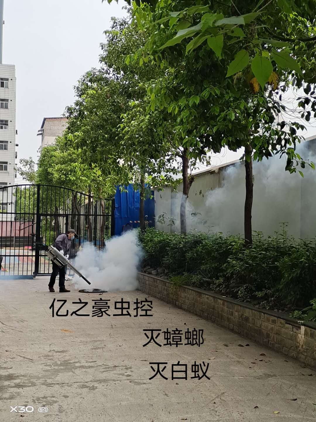 興寧區滅老鼠怎么滅 經驗豐富