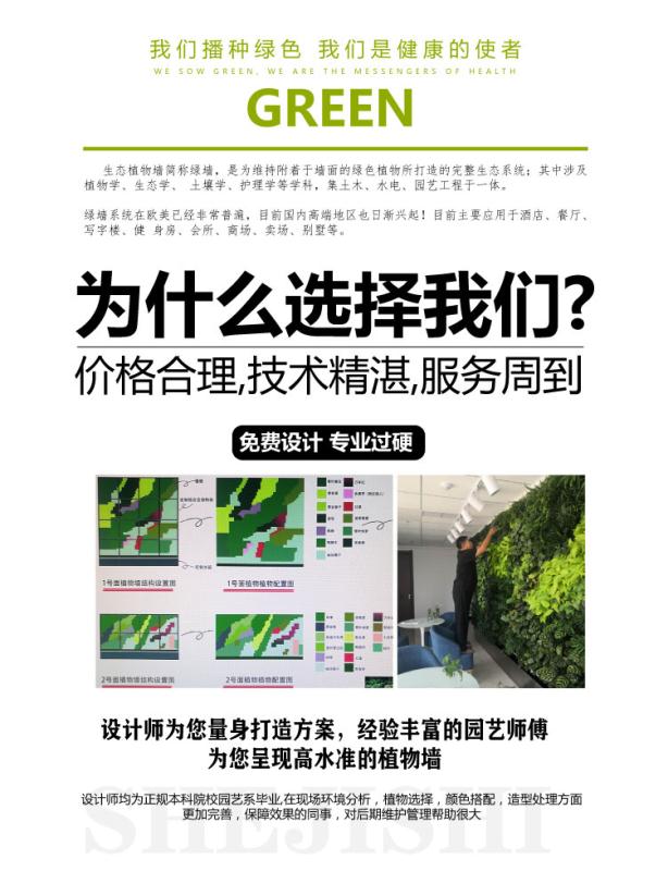 兰州植物墙绿化