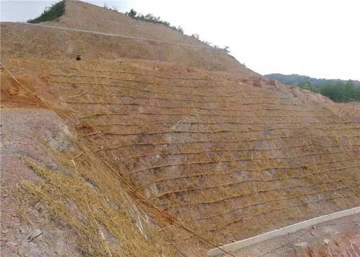 甘肃荒山边坡防护种草喷播机价格