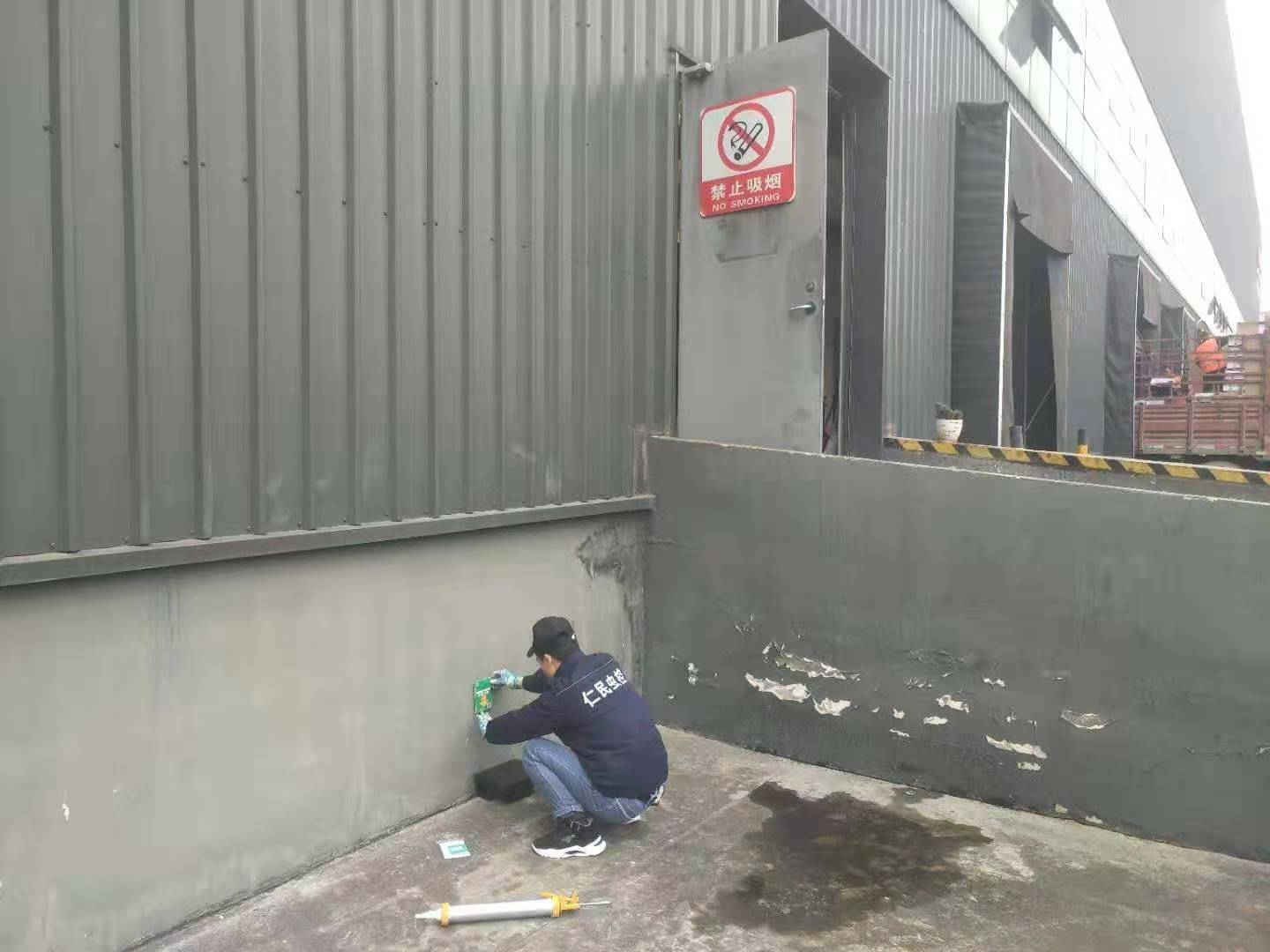 金堂社區滅鼠公司-上門滅老鼠