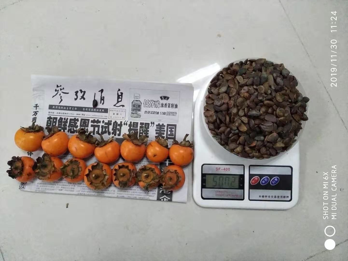 小果甜柿是一種什么植物 太秋甜柿樹苗價格