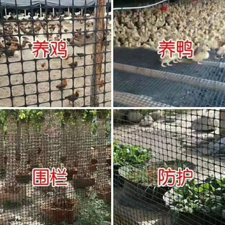 双向土工格栅管廊