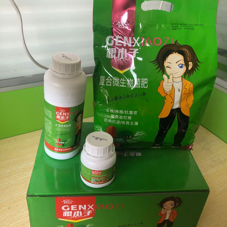 中藥材打什么葉面肥好 根小子壯根膨大