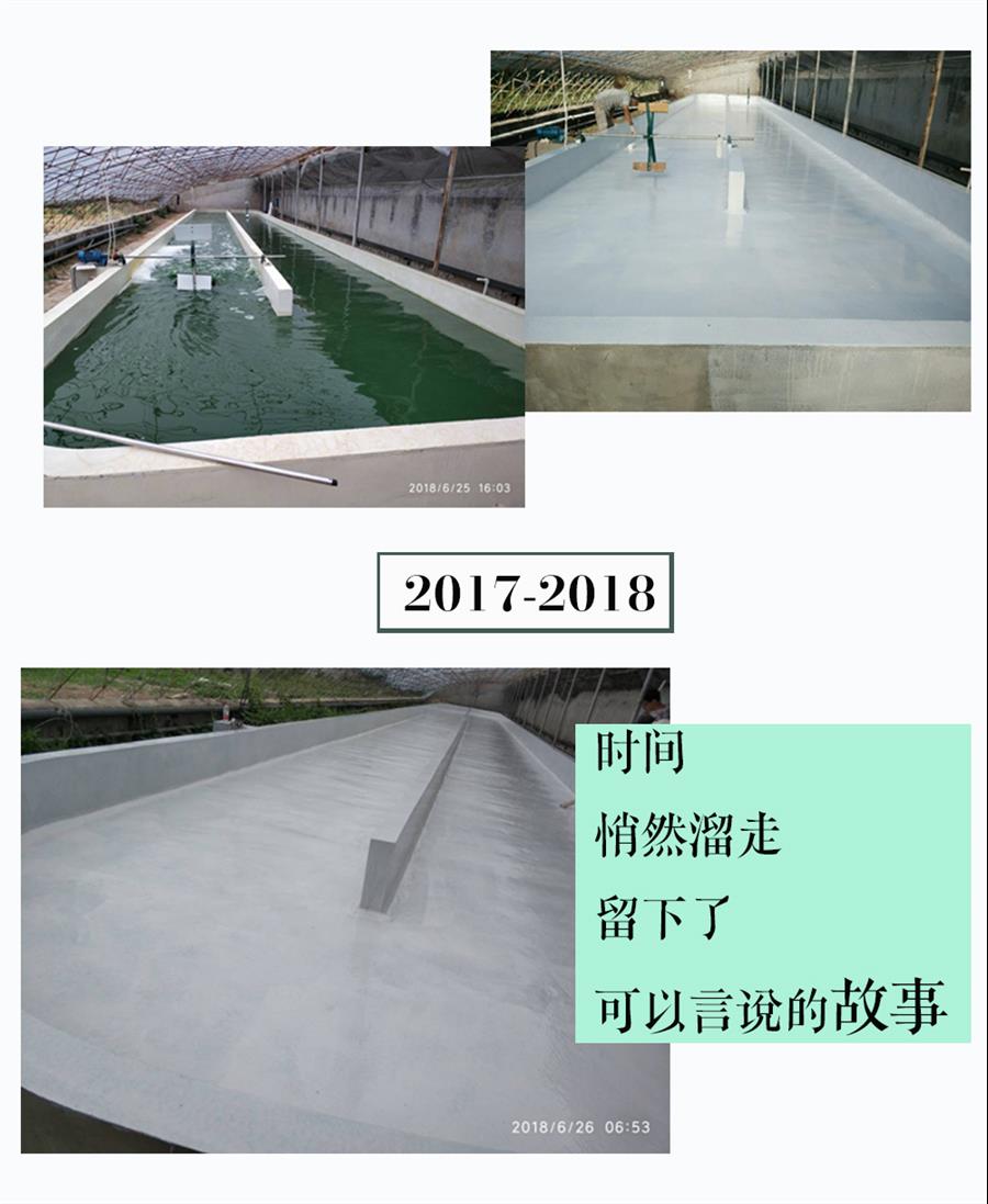 邯郸游泳池环保无溶剂防水漆公司