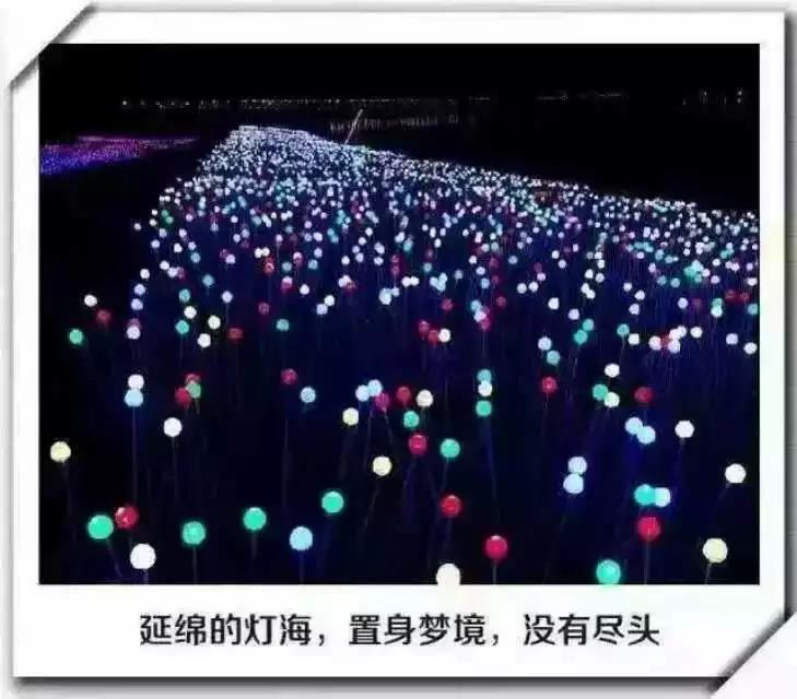 河南現(xiàn)貨燈光節(jié)出售 燈光亮化