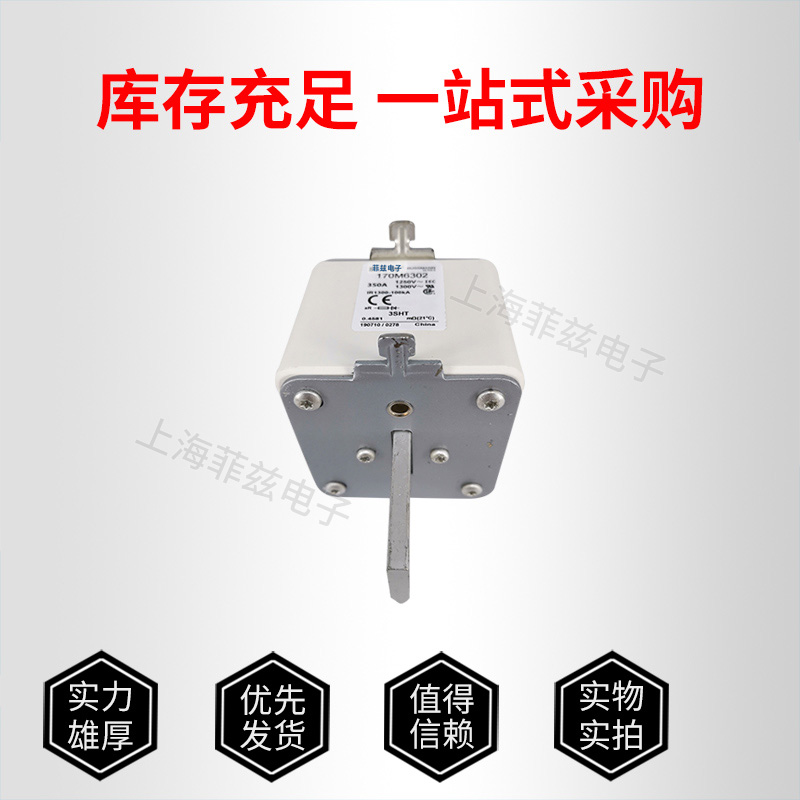 巴斯曼熔断器170M4317 种类齐全