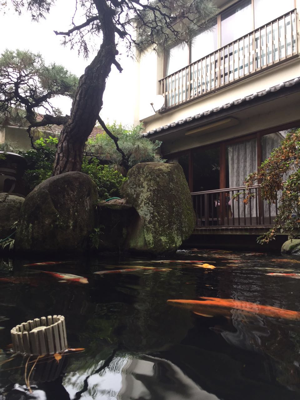 淮北自建小鱼池过滤 花园鱼池水过滤公司 锦鲤鱼池设计