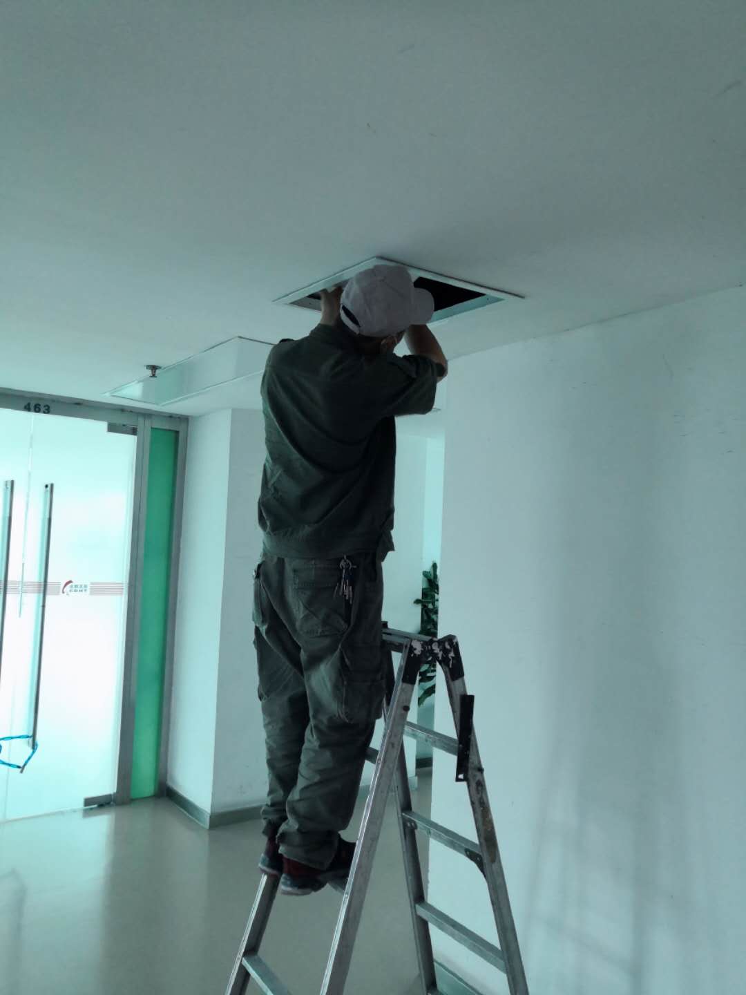 德陽學校白蟻防治服務 白蟻防治 經驗豐富