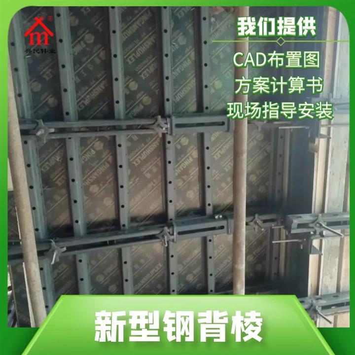 钢背楞模板施工方案