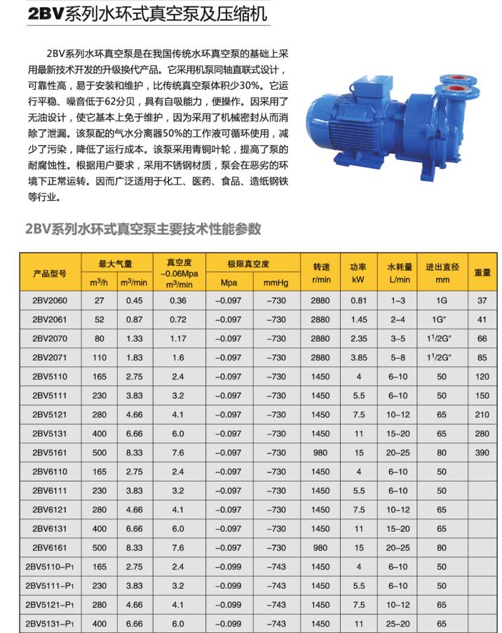 水环式真空泵