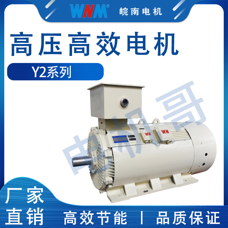 高壓電機啟動方式 Y2系列高壓三相異步電動機 品質保證