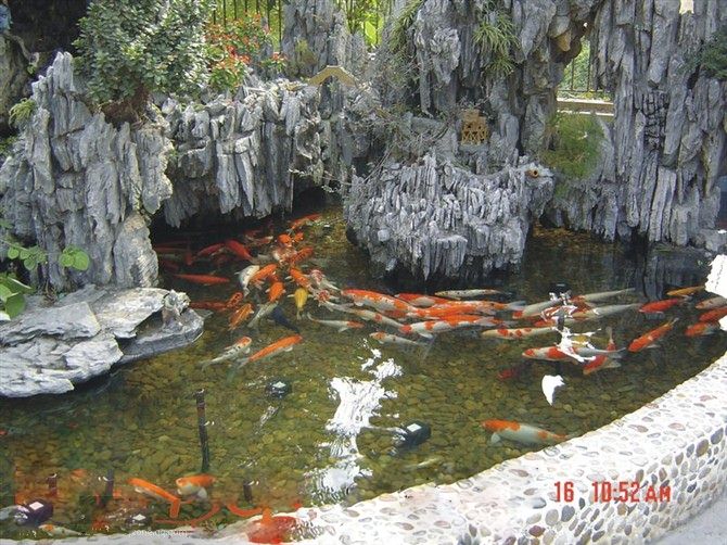 上海全自动鱼池过滤器厂家