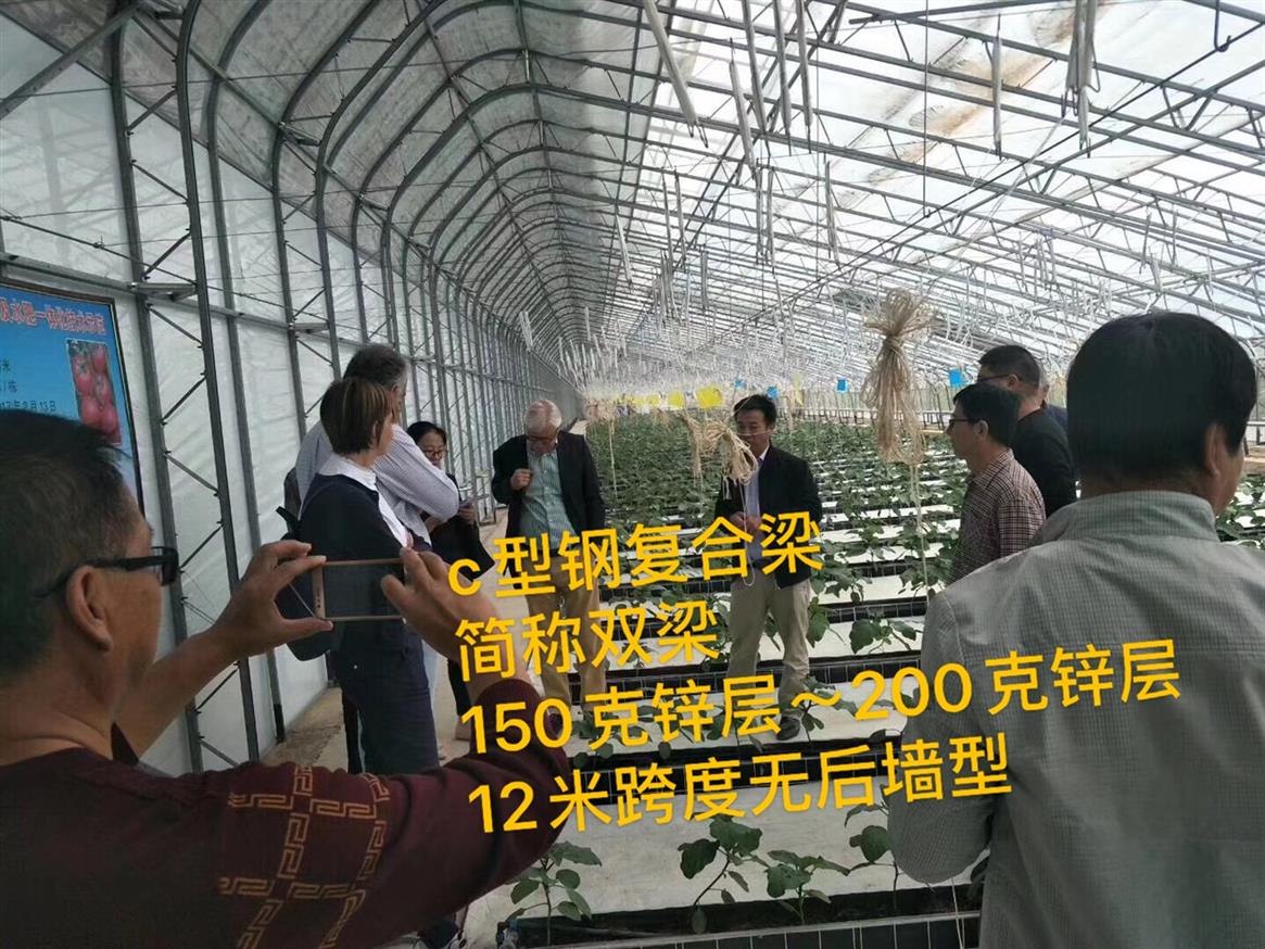 河南c型钢复合梁大棚骨架专业生产厂家