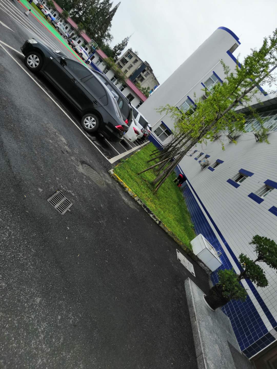 滅蟑螂服務 龍泉滅蟑螂 防治經驗豐富