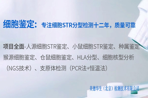 專注細胞鑒定十二年-昆明猴源細胞鑒定公司