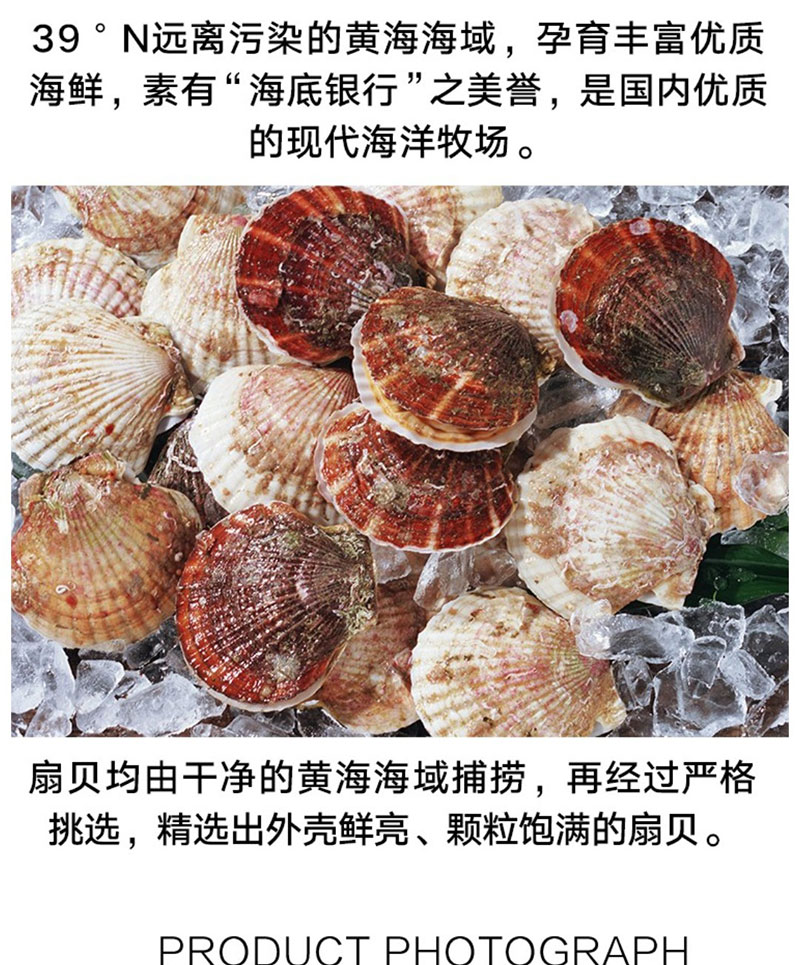 重庆烧烤扇贝肉