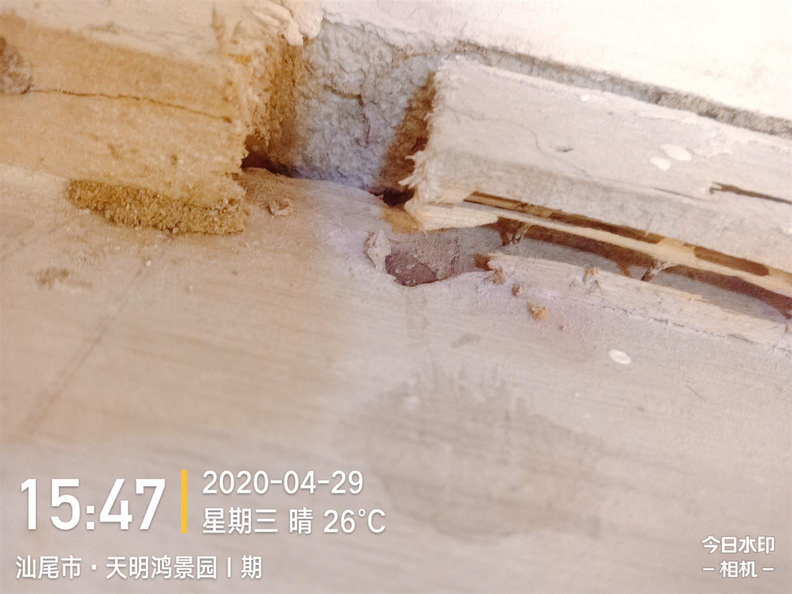 汕尾舊建筑白蟻防治
