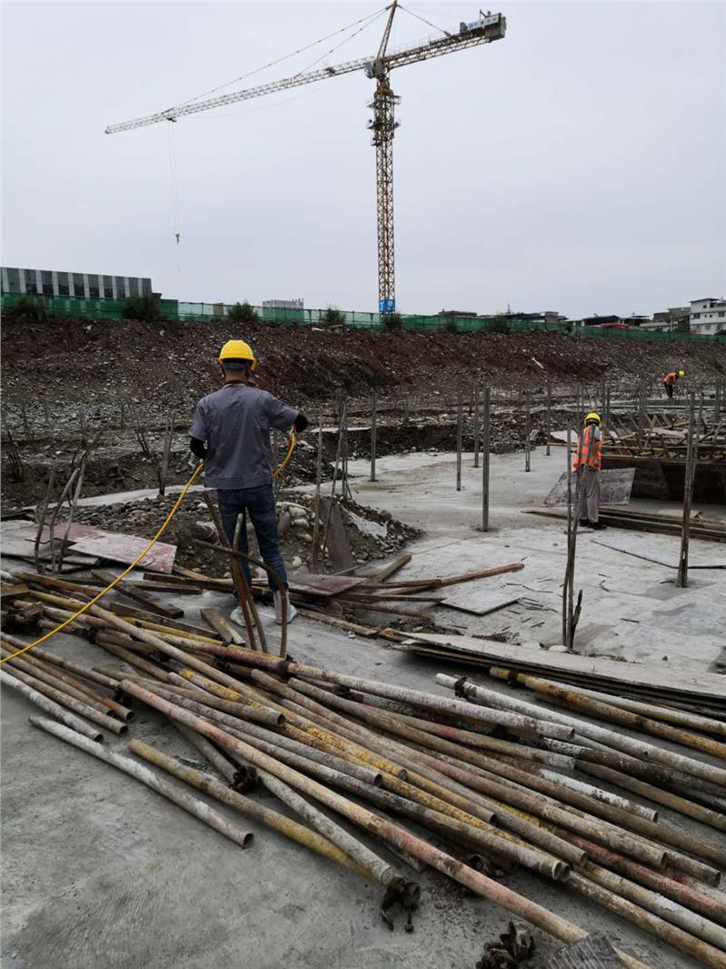 龙泉驿社区除白蚁工程