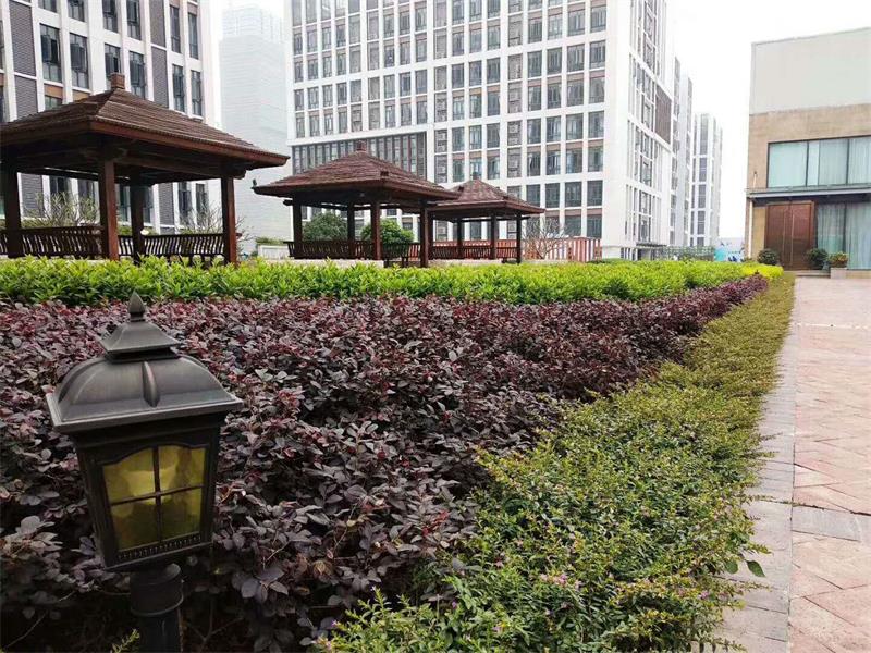 多大年紀(jì)可以進(jìn)養(yǎng)老院 老人院 老人院的收費(fèi)