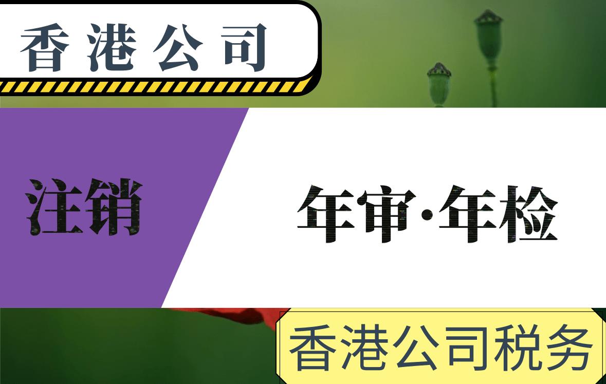 大陆代表处律师公证用途