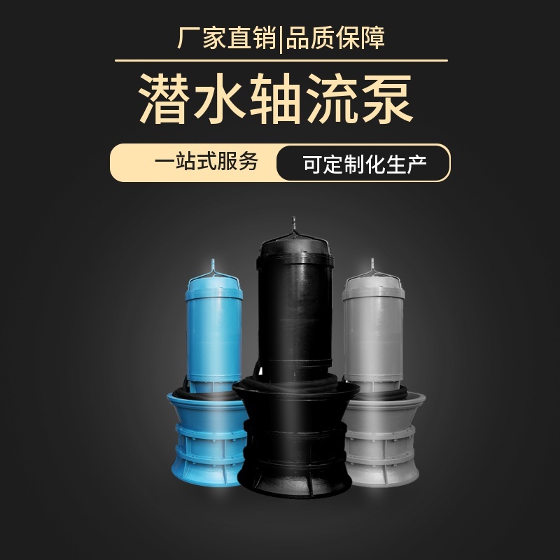 成套設(shè)備 新型潛水軸流泵選型