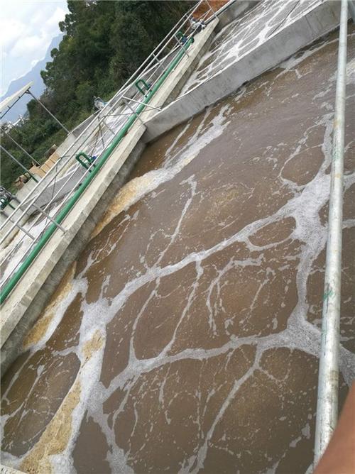 廣州養殖廢水治理設備 養殖場污水處理設備