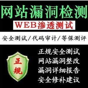 台州web漏扫软件