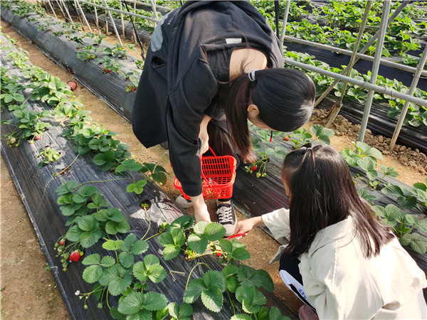 深圳溪谷生態園農家樂 深圳農莊 深圳農家樂推薦