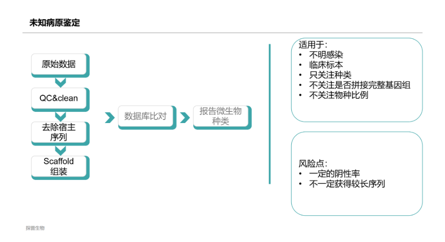 山東病原鑒定技術 真誠推薦 上海探普生物科技供應